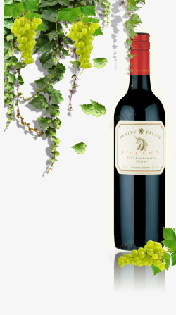 法国红酒葡萄藤法国红酒干红高清图片