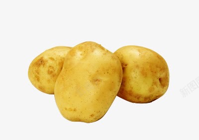 三颗土豆png免抠素材_88icon https://88icon.com 土豆 土豆丝 洋芋 粮食作物 马铃薯 黄色土豆 黄色马铃薯