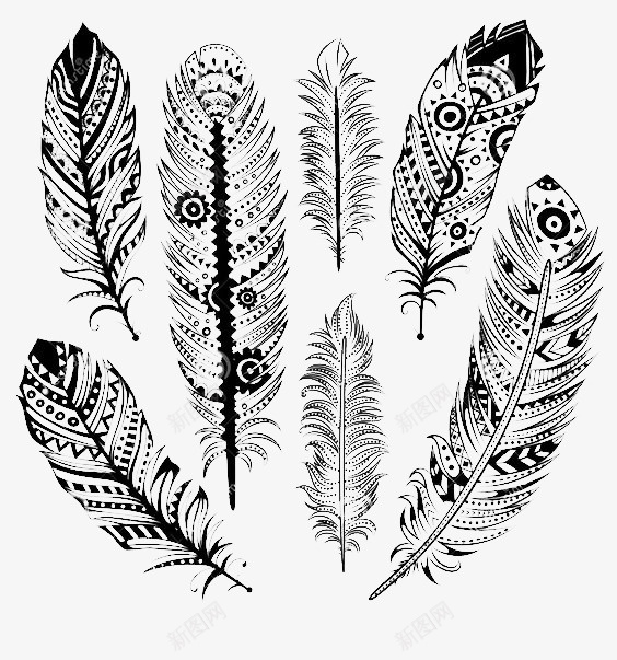 羽毛png免抠素材_88icon https://88icon.com 卡通 填色练习 手绘 插画 文艺 民族风 清新 羽毛 黑白