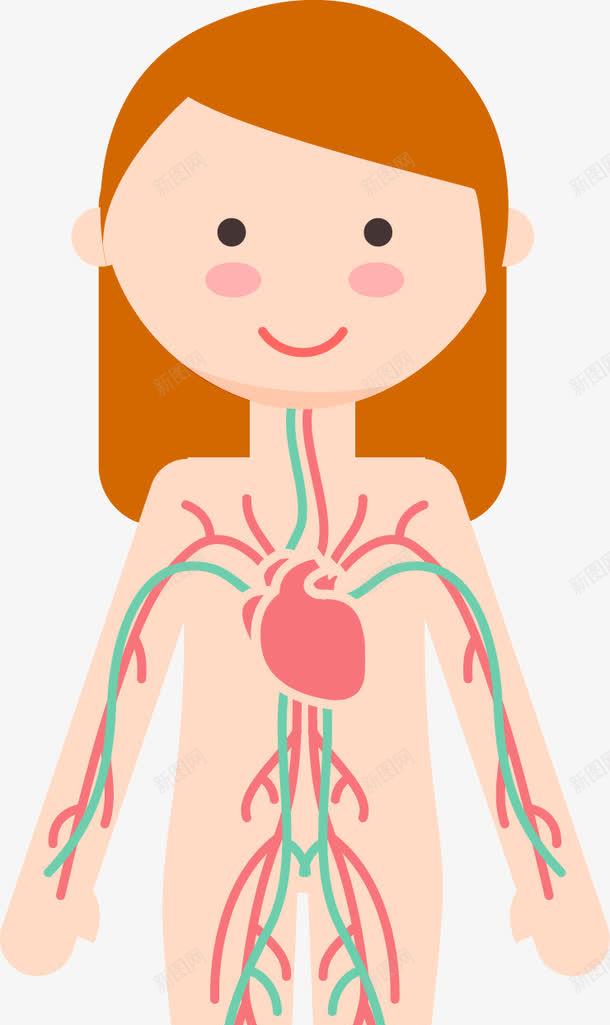 女子6大人体系统png免抠素材_88icon https://88icon.com 人体构造 内分泌系统 呼吸系统 消化系统 神经系统 脉管系统 运动系统