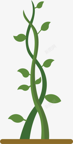 生长豆茎交叉卡通藤蔓豆茎高清图片