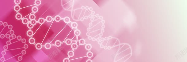 彩色DNA分子banner背景jpg设计背景_88icon https://88icon.com DNA分子 粉色背景