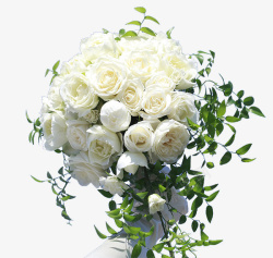 一束白玫瑰一束美丽的玫瑰花儿高清图片