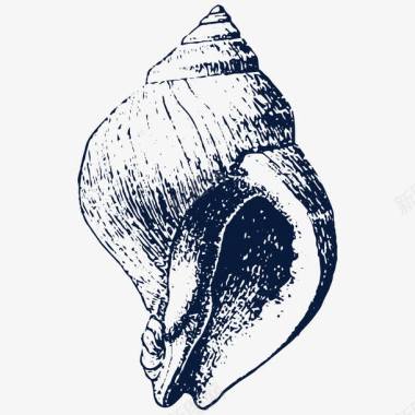 贝壳手绘海螺贝壳装饰图标图标