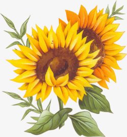 黄色卡通向日葵花朵绘画素材