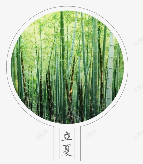 二十四节气立夏宣传海报psd免抠素材_88icon https://88icon.com 二十四节气 二十四节气立夏宣传海报 宣传海报 树木 树林 河边竹林 立夏 竹林