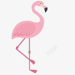 粉红色火烈鸟绘画素材