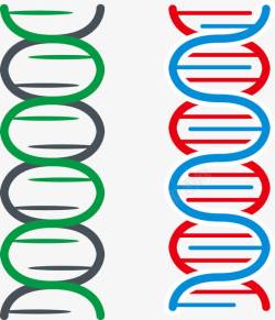 简约基因链素材