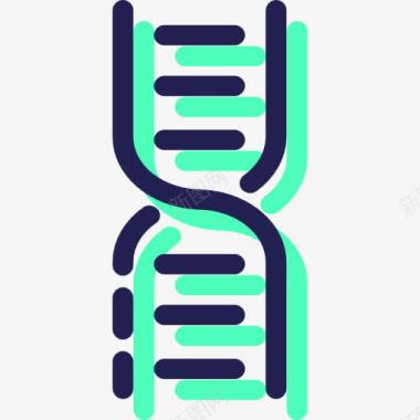 结构生物学DNA图标图标