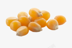 金黄米粒实物饱满金黄的熟玉米粒高清图片