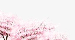 樱花树装饰图案素材
