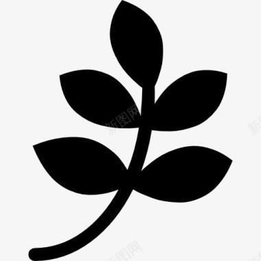 植物菊花叶带叶子的树枝黑色的形状图标图标