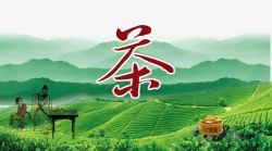 中国风绿色茶园海报素材