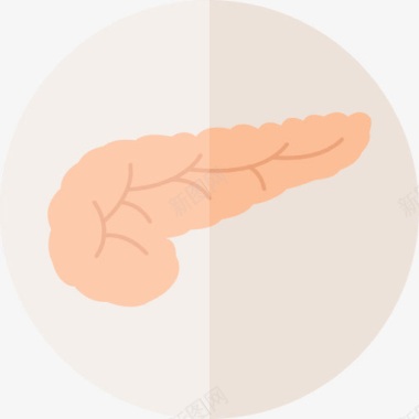 器官胰腺图标图标