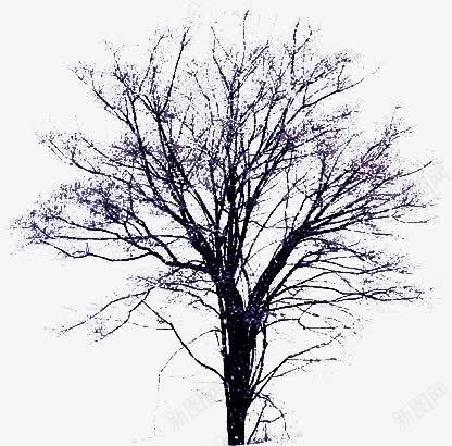 枯树无叶png免抠素材_88icon https://88icon.com 一棵枯树 四季树 无叶 枯树 树叶 树木 树林 树枝 植物 生物世界 秋天的树 花草树