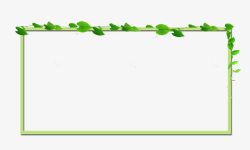 网页个性化清新树叶边框素材