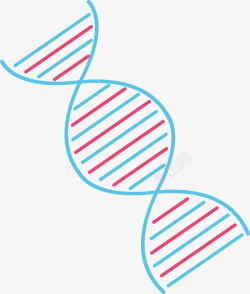 染色体元素矢量图素材