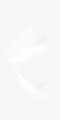 天使白色羽翼素材