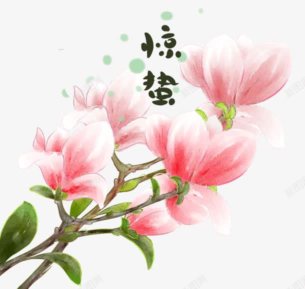 手绘玉兰花装饰图案png免抠素材_88icon https://88icon.com 二十四节气 惊蛰节气 手绘插画 玉兰花 装饰图案 鲜花