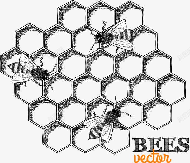 手绘蜂巢图案矢量图eps免抠素材_88icon https://88icon.com 六边形 手绘 矢量素材 素描 蜂巢 蜜蜂 矢量图