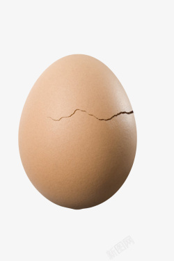 褐色鸡蛋带裂纹的初生蛋实物素材