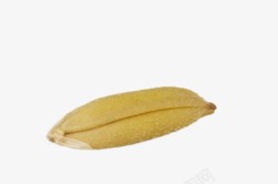 金黄米粒金黄的稻粒高清图片