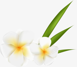 栀子花装饰设计矢量白色花朵装饰高清图片