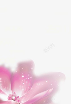 发光粉红色软管透明花瓣浅色高清图片