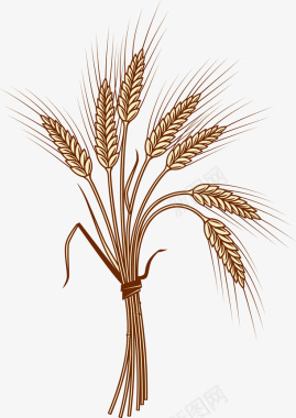 手绘一捆麦子图标图标