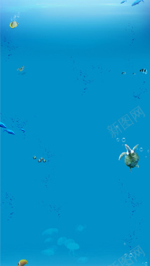 美丽的蓝色大海海洋生物H5背景背景