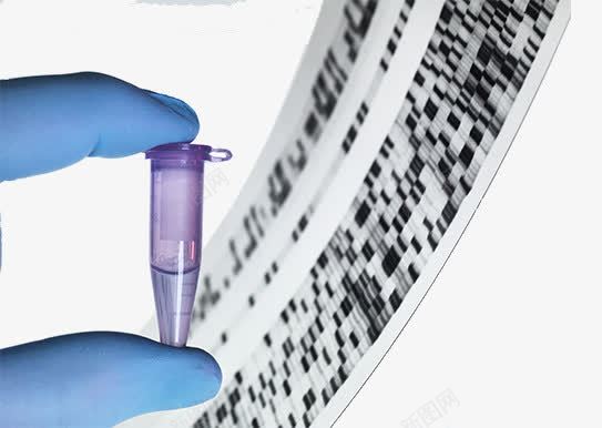 生物基因检测psd免抠素材_88icon https://88icon.com 分析 基因检测 数据 样本