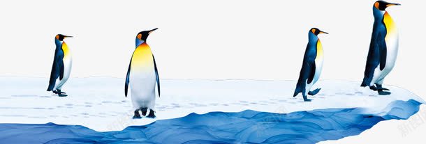 冰面上的企鹅png免抠素材_88icon https://88icon.com 企鹅 冰 动物