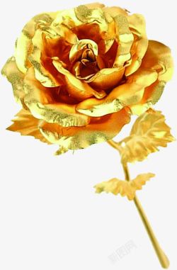 金箔玫瑰花朵礼物素材