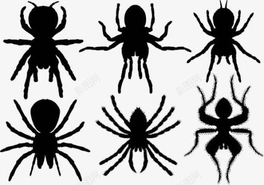 6个向量集蜘蛛图标图标