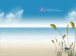 爱情海鸟意境海滩风景桌面高清图片