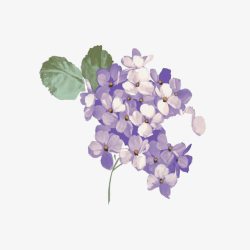 手绘紫色调绣花球素材