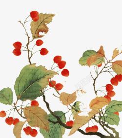 中国风手绘海棠树素材