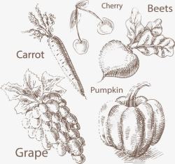 葡萄素描手绘蔬菜和水果高清图片