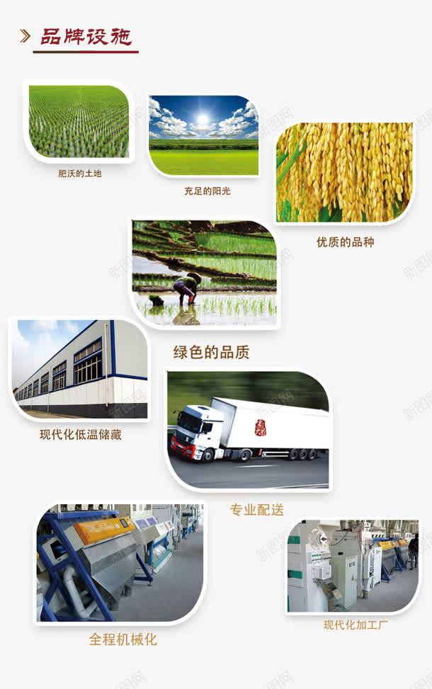 五常大米png免抠素材_88icon https://88icon.com 五常大米 企业实力 企业设施 厂房 种水稻