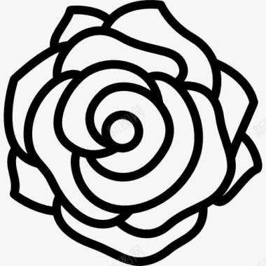 植物插画玫瑰图标图标
