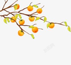 秋天的果实素材