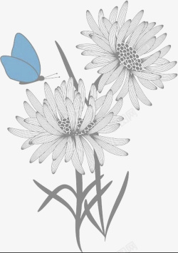菊花和蓝色蝴蝶线描画素材