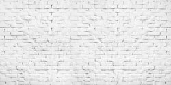 白色砖墙夏天素材