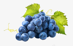 水珠葡萄葡萄高清图片