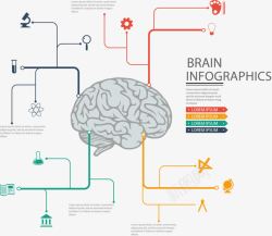 PPT大脑信息图素材