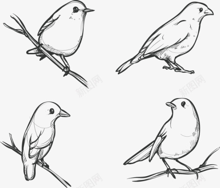 美术班手绘小鸟动作分解矢量图图标图标