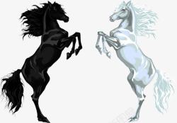 卡通马匹白马和黑马高清图片