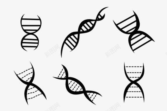 DNA图标双螺旋黑色图标图标