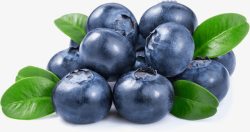 圆润多汁的蓝莓素材