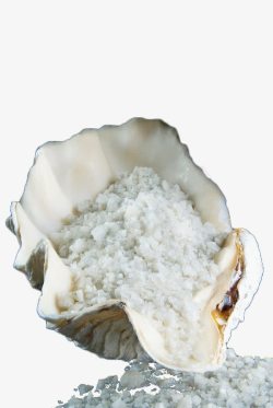 白色蚌壳里的海盐素材